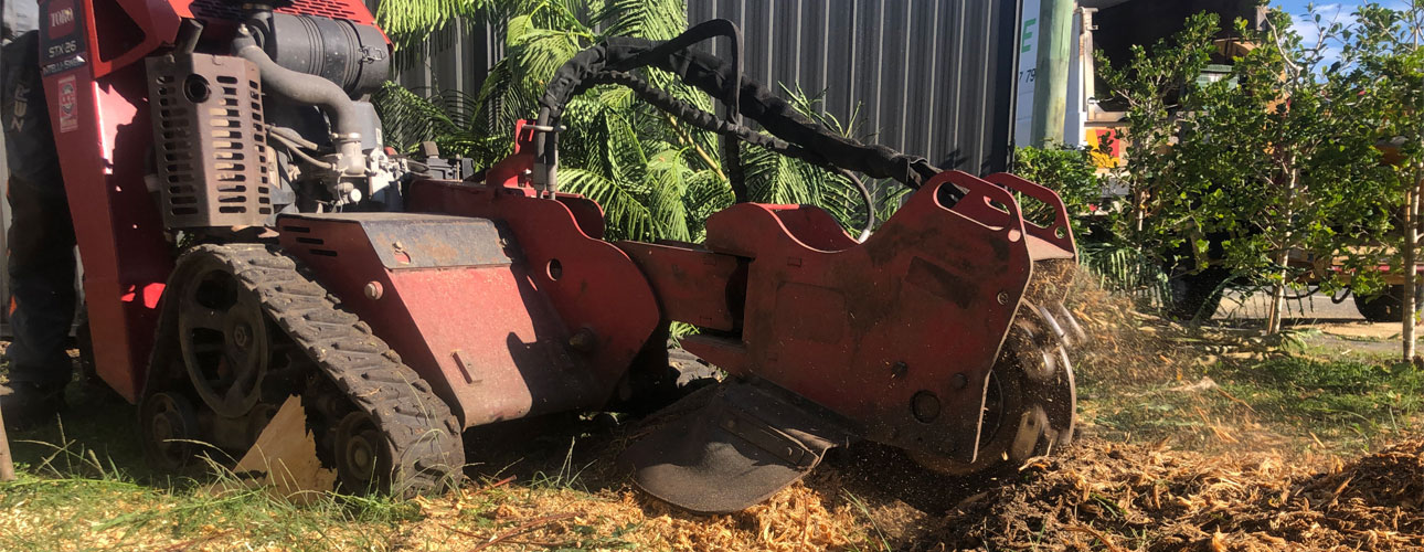 Do you need land clearing?